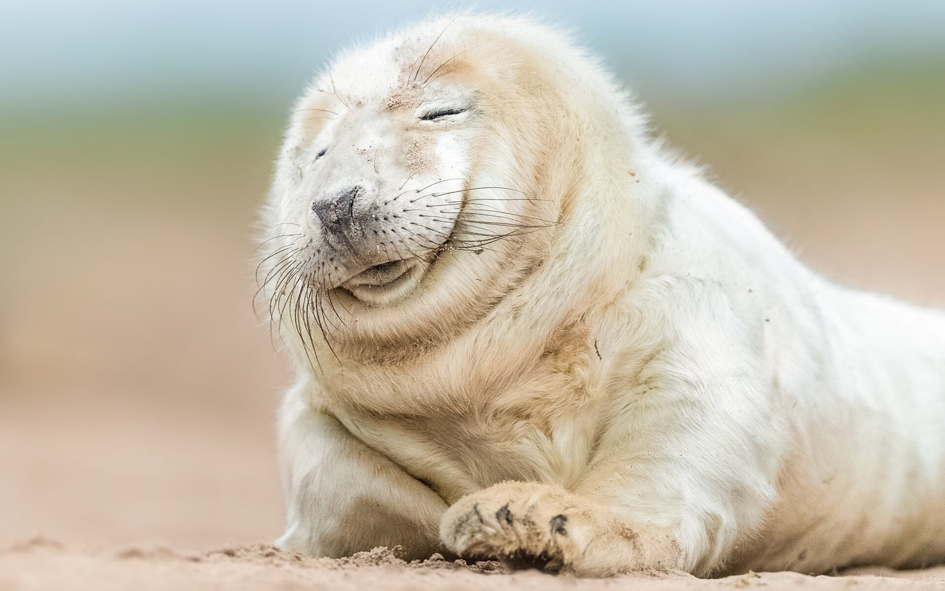 爱游戏官网app-中超俱乐部战术创新记录，2021中超俱乐部