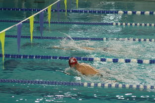 爱游戏体育-全国青少年游泳锦标赛涌现多位新星，2021年青少年游泳锦标赛